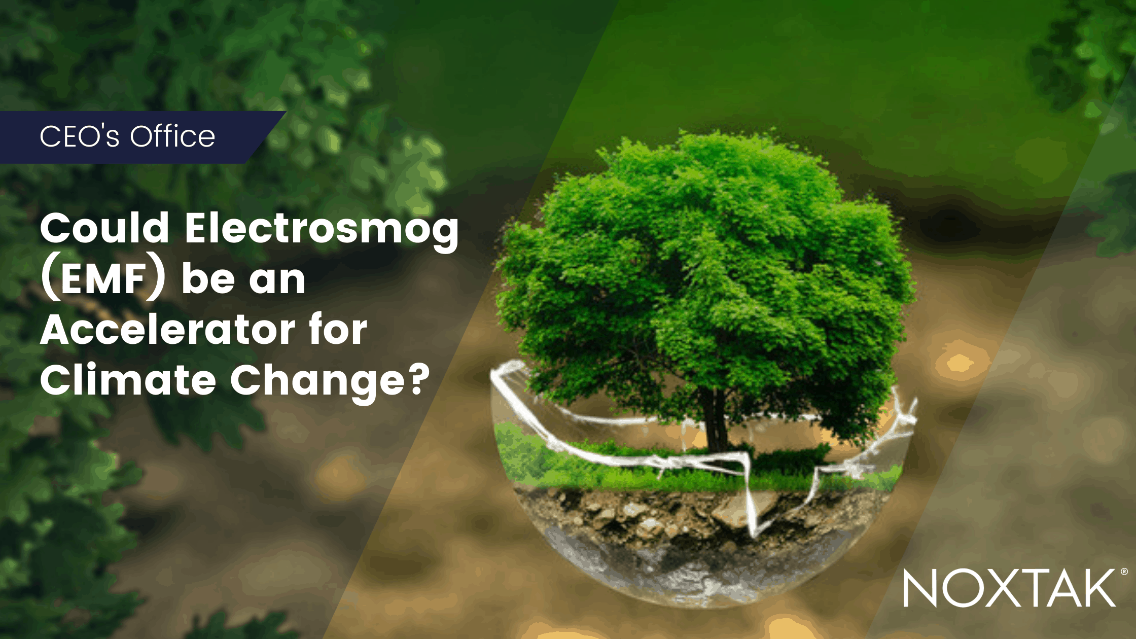 Could Electrosmog (EMF) be an accelerator for Climate Change? Noxtak(00)